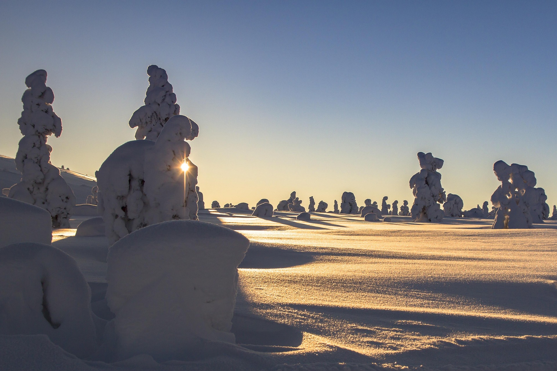 Winterlandschaft